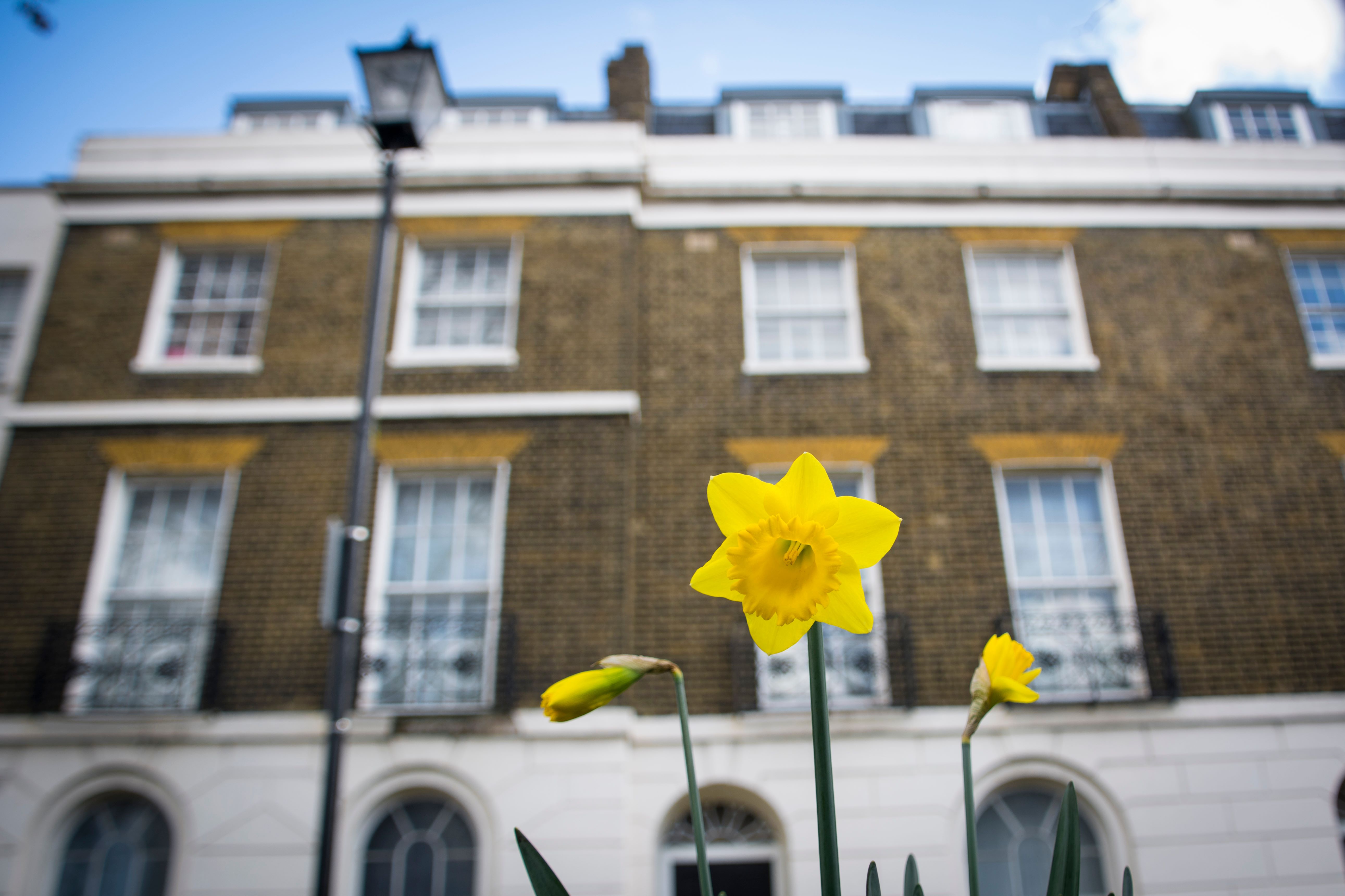 Estate Agent & Letting Agent in Folkestone